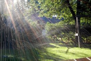 Wasting water before a sprinkler repair in Boca Raton